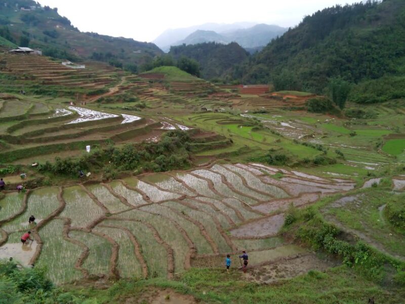 From Hanoi: 3-Day Homestay Trekking in Sapa Tour - Visiting Nam Tong Village