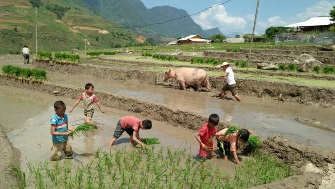 From Hanoi: 3-Day Homestay Trekking in Sapa Tour - Packing and Preparation