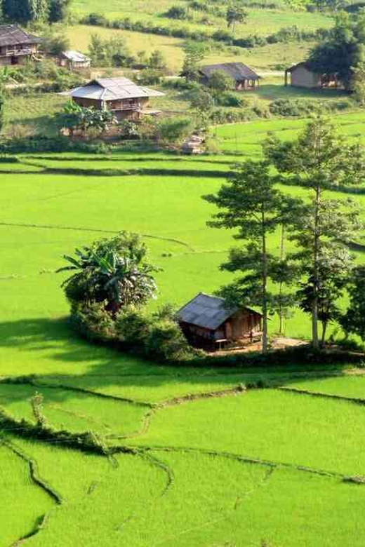 From Hanoi: 3-Day Motorbike Ha Giang Loop With Easy Rider - Day 1: Ha Giang City to Dong Van