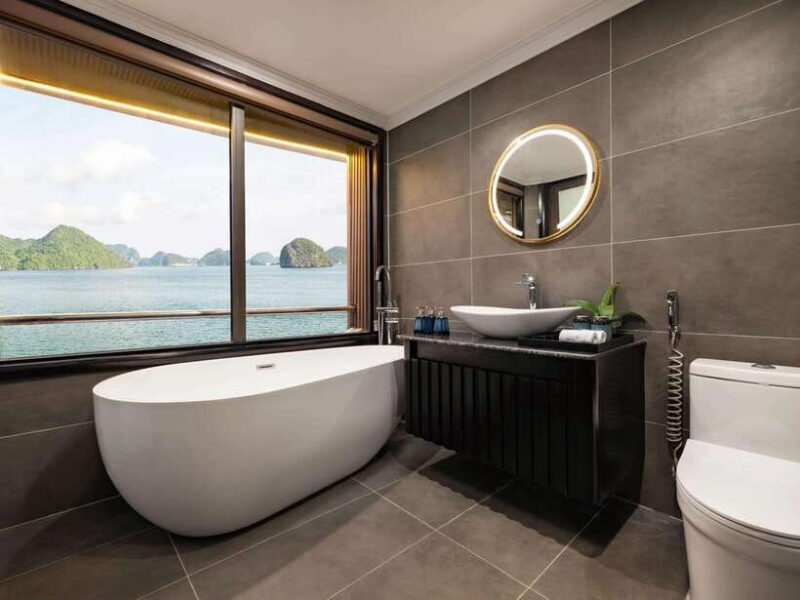 From Hanoi: 3 Day Ninh Binh & Ha Long-Lan Ha 5 Star Cruise - Customer Feedback and Reviews