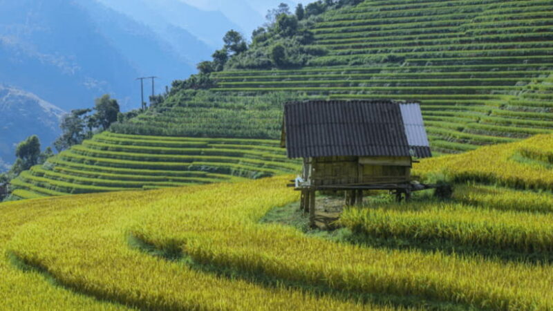From Hanoi: 3-Day Sapa - Bac Ha Market Trekking Tour - Tour Overview
