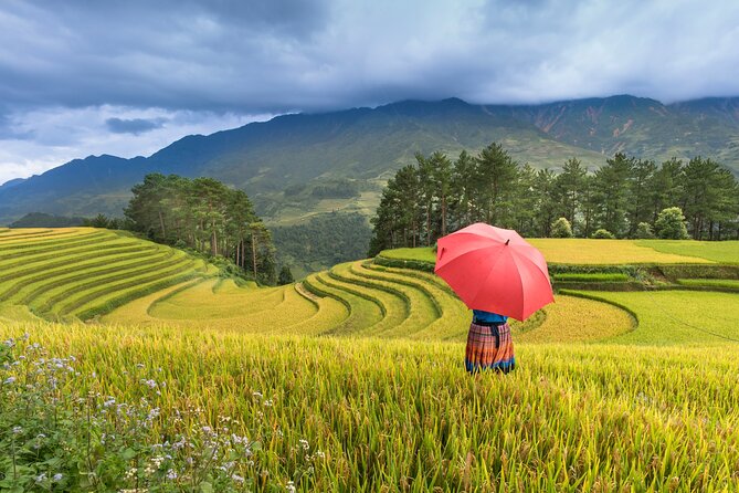 From Hanoi: 3 Days Sapa Trekking & Ethnic Villages by Dcar - Pricing and Inclusions