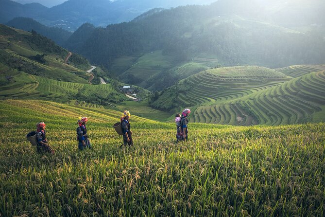 From Hanoi: 3 Days Sapa Trekking & Ethnic Villages by Dcar - Highlights and Recommendations