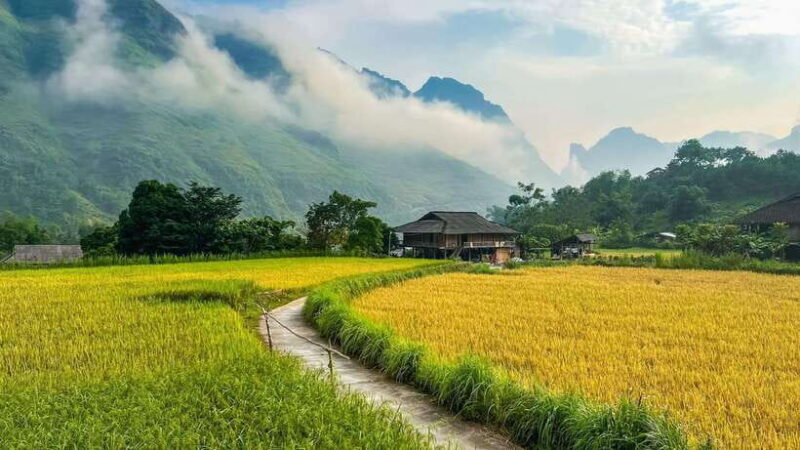From Hanoi : 4-Day Ha Giang Loop Tour With Easy Rider - Day 3: Cruising Through Tu San Canyon and Cultural Exchange in Meo Vac