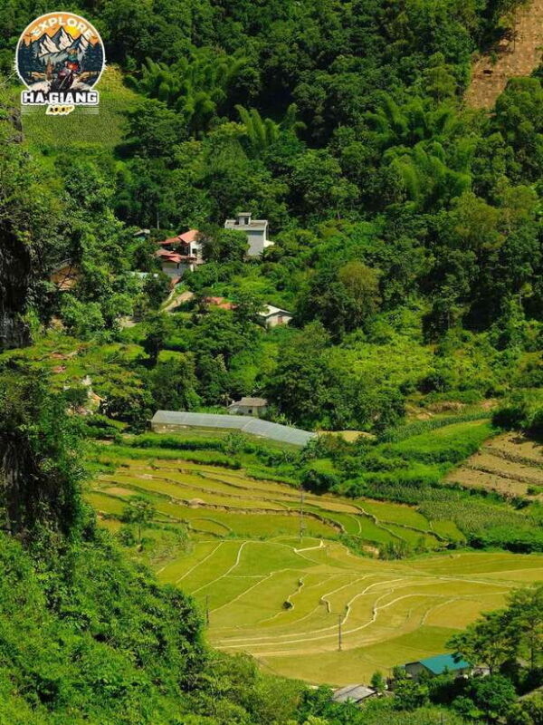 From Hanoi: 4-Day Ha Giang Motorbike Tour With Accommodation - Important Information