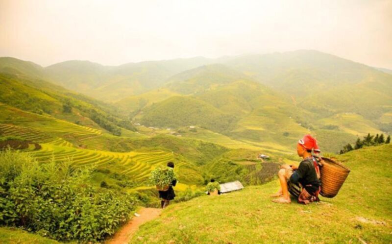 From Hanoi: 5-Day Northern Sapa, Ninh Binh & Halong Bay Tour - Exploring Sapa Village