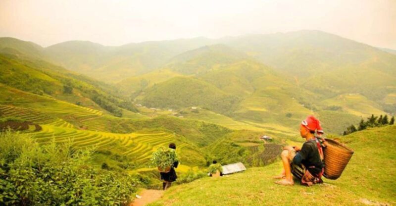 From Hanoi: 5-Day Northern Sapa, Ninh Binh & Halong Bay Tour - Discovering Ninh Binh