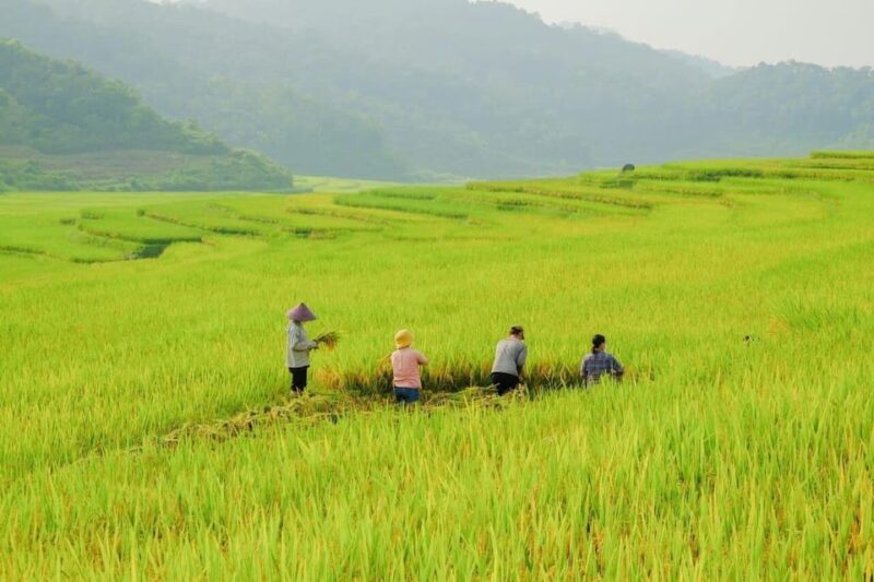 From Hanoi: Admire The Terraced Fields In Sapa For 2 Days - Day 2 Itinerary