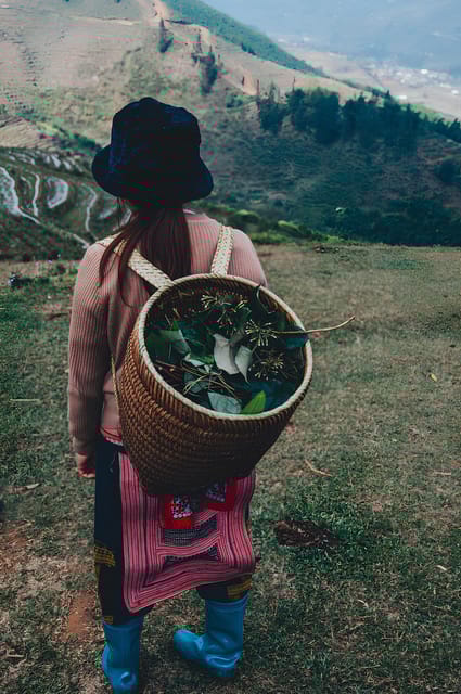 From Hanoi: Amazing Sapa 2D1N Tour - Key Points