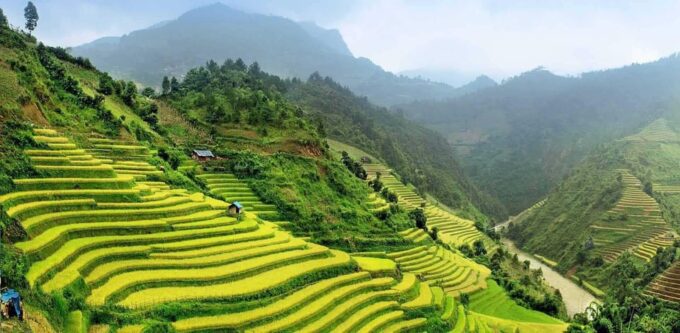 From Hanoi: Amazing Sapa 2D1N Tour - Transportation and Guide