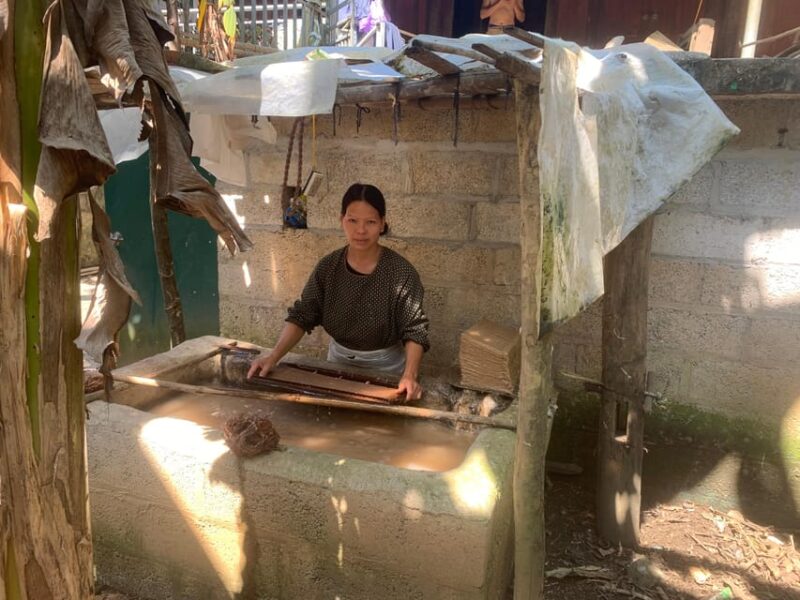 From Hanoi: Ban Gioc Waterfall 1 Day With Local Guide - Key Points