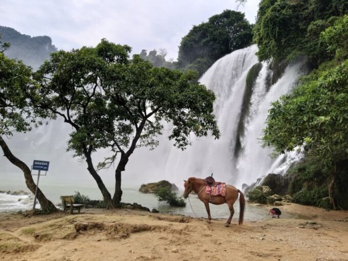 From Hanoi: Ban Gioc Waterfalls 2-Day 1-Night Tour - Frequently Asked Questions