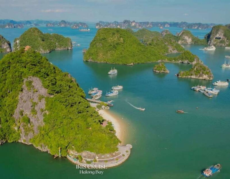 From Hanoi: BEST Ha Long Bay Tour on 5-Star Pamela Cruise - What to Expect