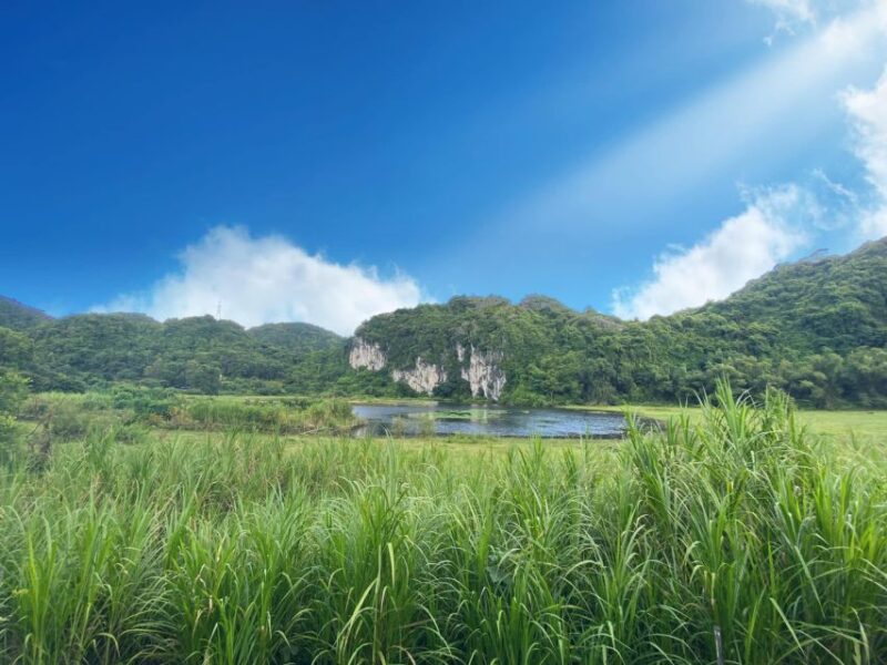 From Hanoi: Cat Ba Island 2-Day Trip With Homestay and Meals - Dinner and Herbal Foot Bath