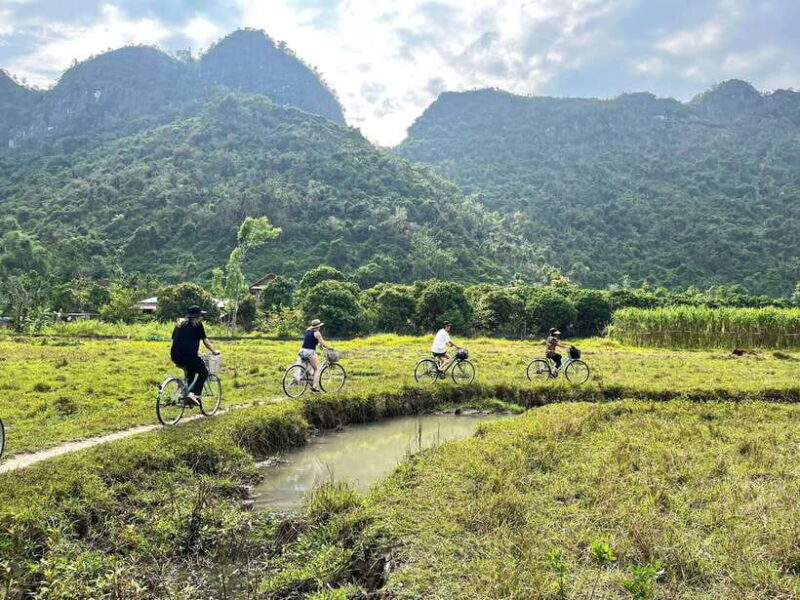 From Hanoi/Cat Ba: Lan Ha Bay Day Trip With Cruise and Lunch - Key Points
