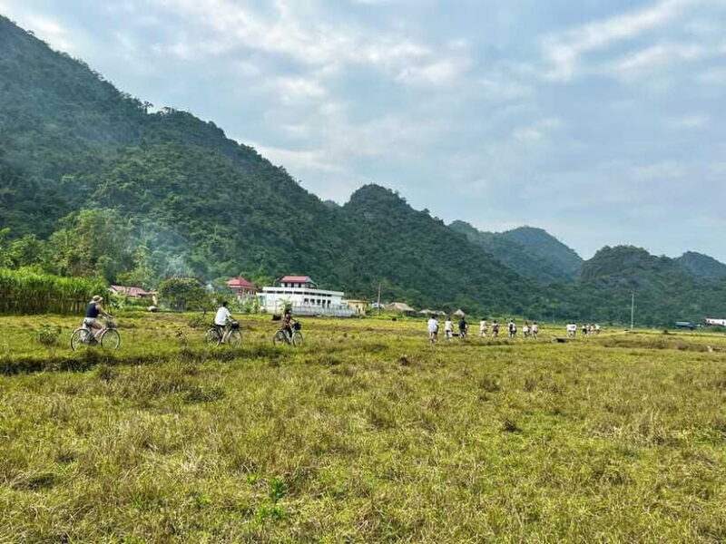 From Hanoi/Cat Ba: Lan Ha Bay Day Trip With Cruise and Lunch - Onboard Dining and Activities