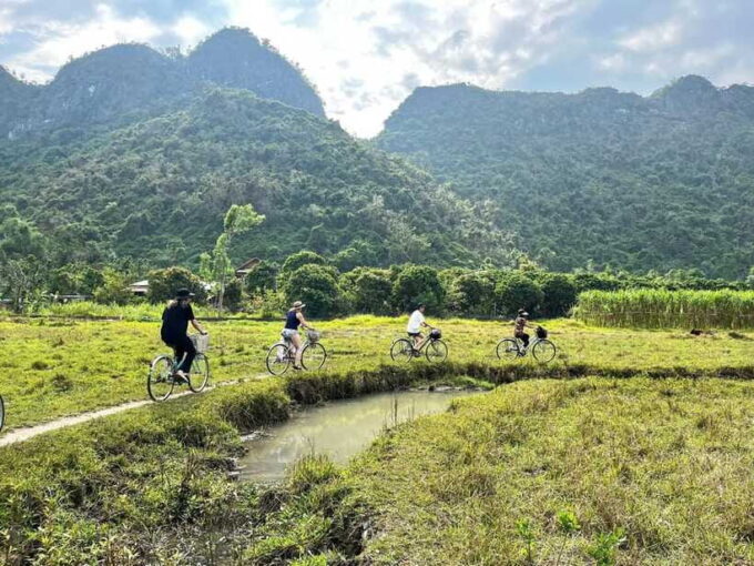 From Hanoi/Cat Ba: Lan Ha Bay Day Trip With Cruise and Lunch - Customer Feedback and Ratings