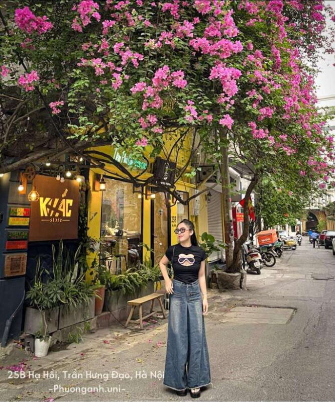 From Hanoi: City Sightseeing Cycling Panoramic Tour By Cyclo - Restrictions and Important Information