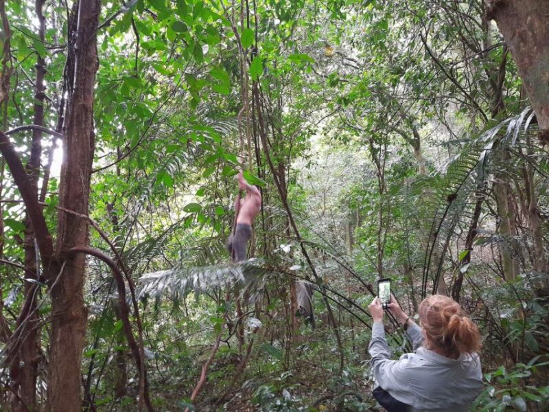 From Hanoi: Cuc Phuong National Park Full Day Small Group - Itinerary Highlights