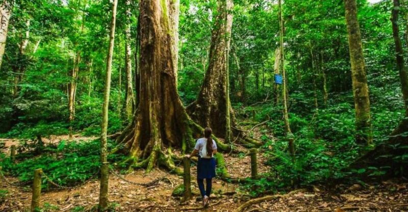 From Hanoi: Cuc Phuong National Park - Highlight: Trekking and Photography