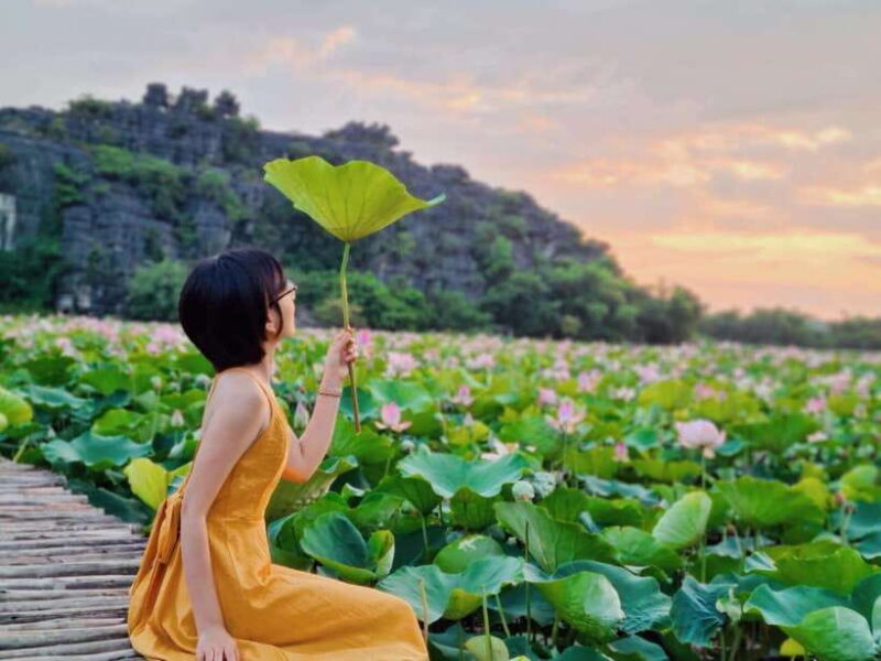 From Hanoi: Day Trip to Ninh Bình – The Colors of Nature - Key Points