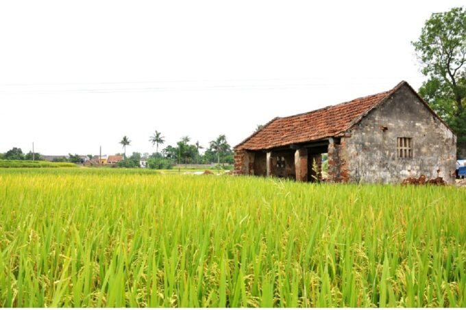From Hanoi: Duong Lam Ancient Village Day Tour With Lunch - Mong Phu Commune House