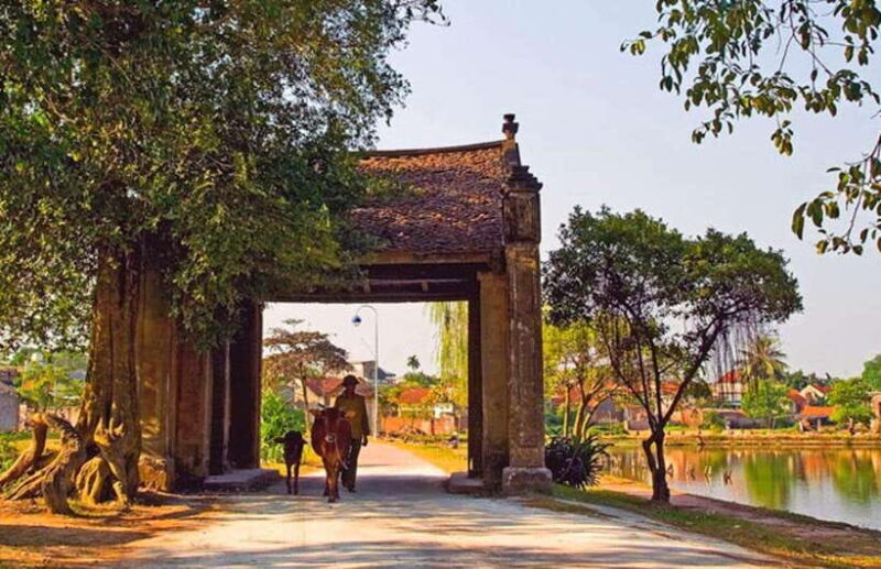 From Hanoi: Duong Lam Ancient Village Private Full-Day Trip - Exploring Mong Phu Commune House