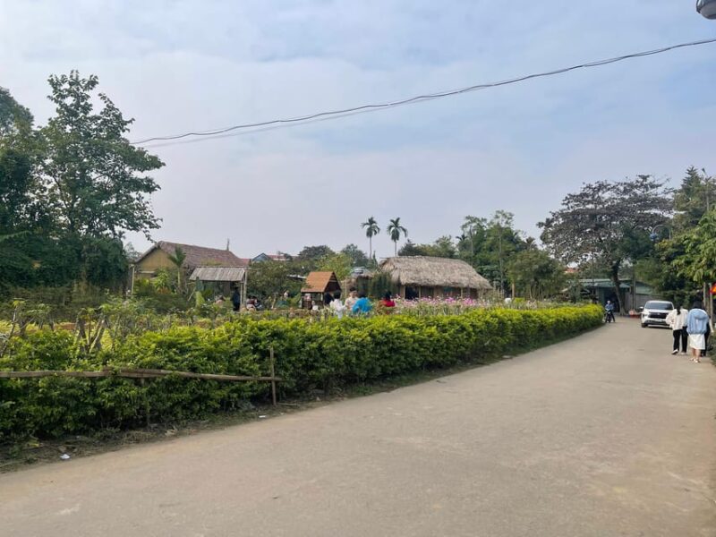 From Hanoi: Duong Lam Ancient Village Private Tour - Walking and Cycling Excursion