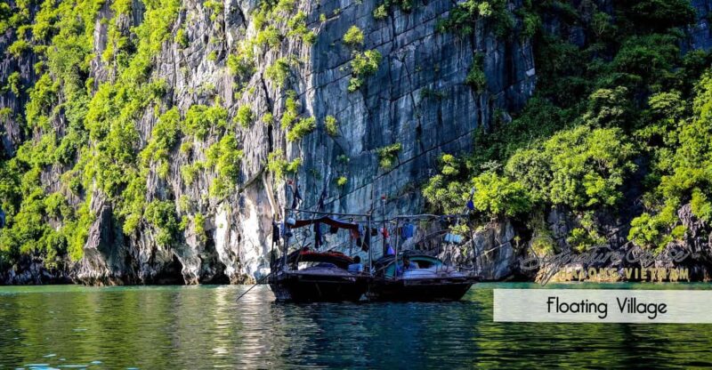 From Hanoi: Explore Cat Ba Islands In 1 Day - Itinerary Highlights