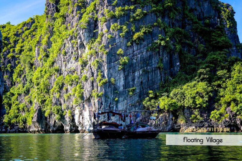 From Hanoi: Explore Cat Ba Islands In 1 Day - Tour Timings