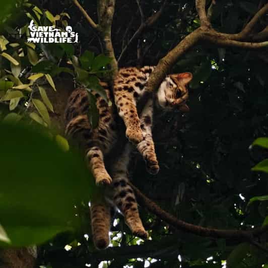 From Hanoi Explore Fresh Nature, See Wild Animal & Fireflies - Location and Wildlife