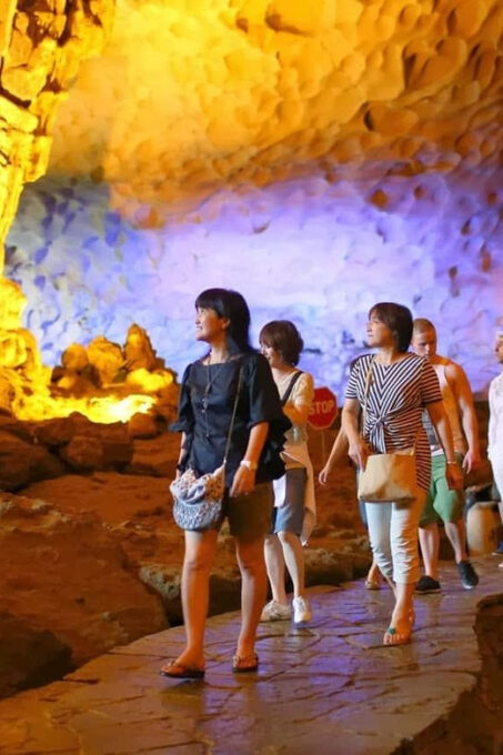 From Hanoi: Explore Ha Long Bay in 1 Day - Transportation and Pickup
