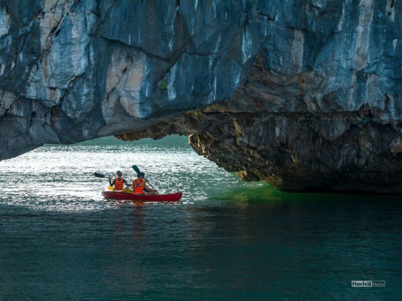 From Hanoi: Explore Ha Long Bay in 1 Day - Highlights and Experiences