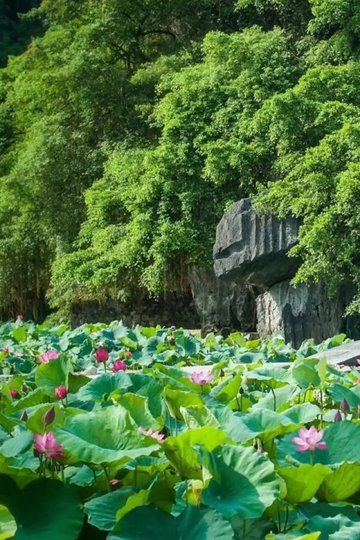 From Hanoi Explore Ninh Binh - A Land Of Peaceful For 2 Days - Important Notes