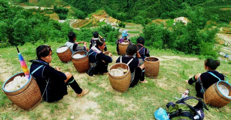 From Hanoi: Explore Sapa 2-Day Tour - Key Points
