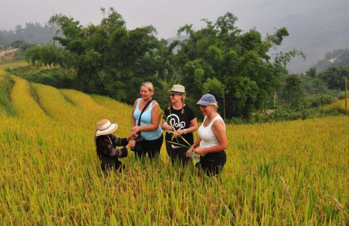 From Hanoi: Explore Sapa 2-Day Tour - Day 2: Rice Terraces