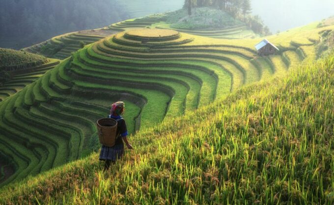 From Hanoi: Explore Sapa 2-Day Tour - Muong Hoa Valley Trek