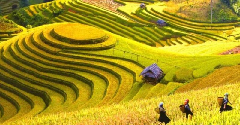 From Hanoi: Explore Sapa In 3 Days 2 Nights - Itinerary Day 1