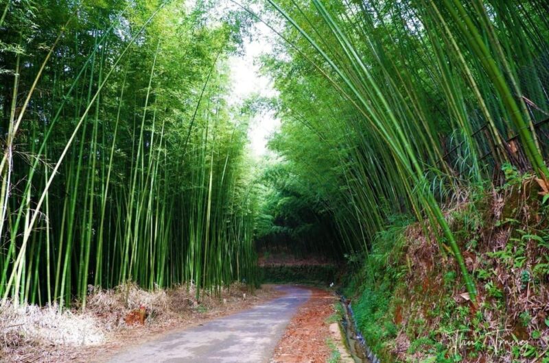 From Hanoi: Explore Sapa & Local Village 3 Days - Inclusions