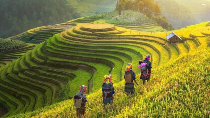From Hanoi: Explore Sapa & Local Village in 3 Days 2 Nights - Transportation Details