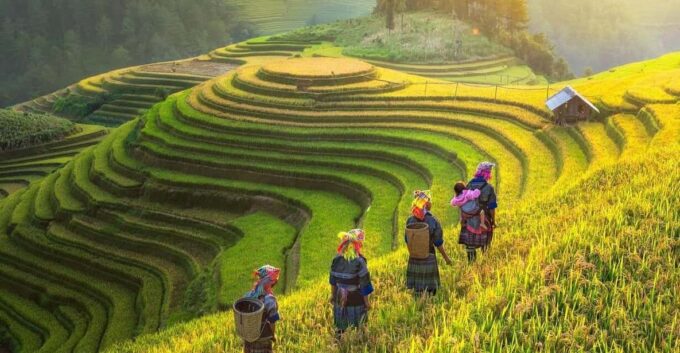 From Hanoi: Explore Sapa & Local Village in 3 Days 2 Nights - Dining Experiences