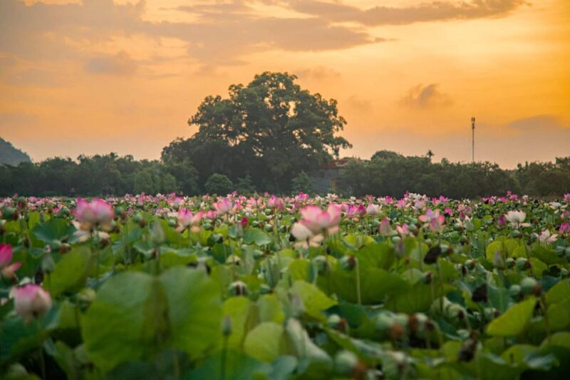 From Hanoi: Explore The Majestic Beauty Of Ninh Binh 2 Days - Key Points