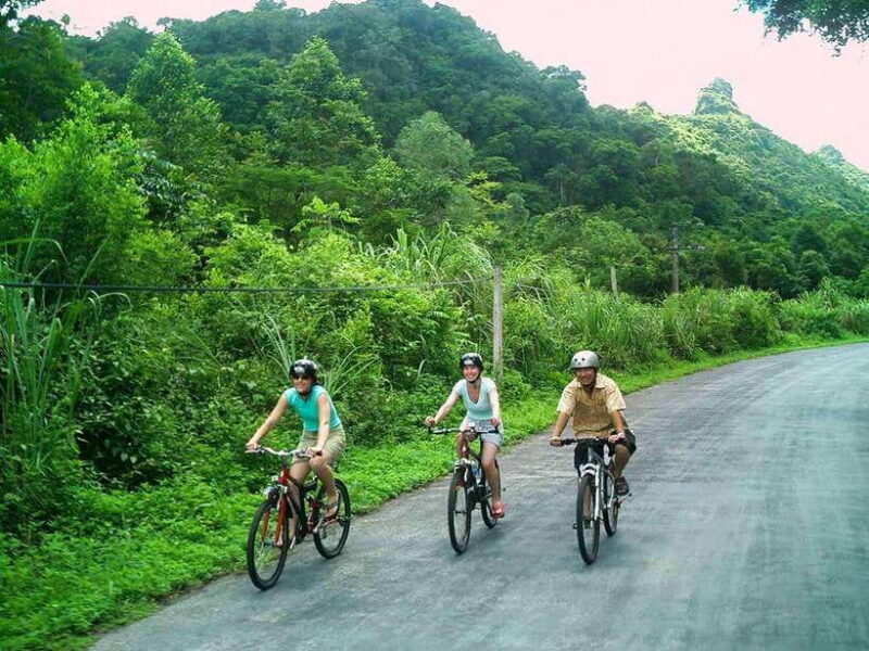 From Hanoi: Full-day Tam Coc River Adventure - Tour Overview