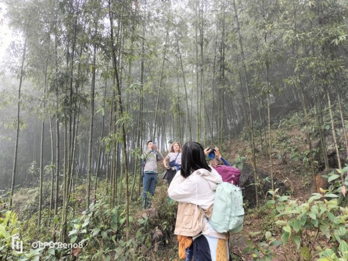 From Hanoi: Guided 2-Day Tour of Sa Pa With Lunch & Dinner - Included Meals