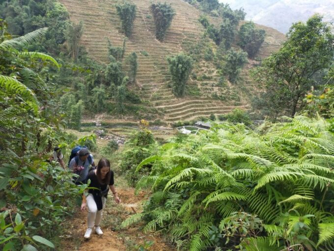 From Hanoi: Guided 2-Day Tour of Sa Pa With Lunch & Dinner - Frequently Asked Questions