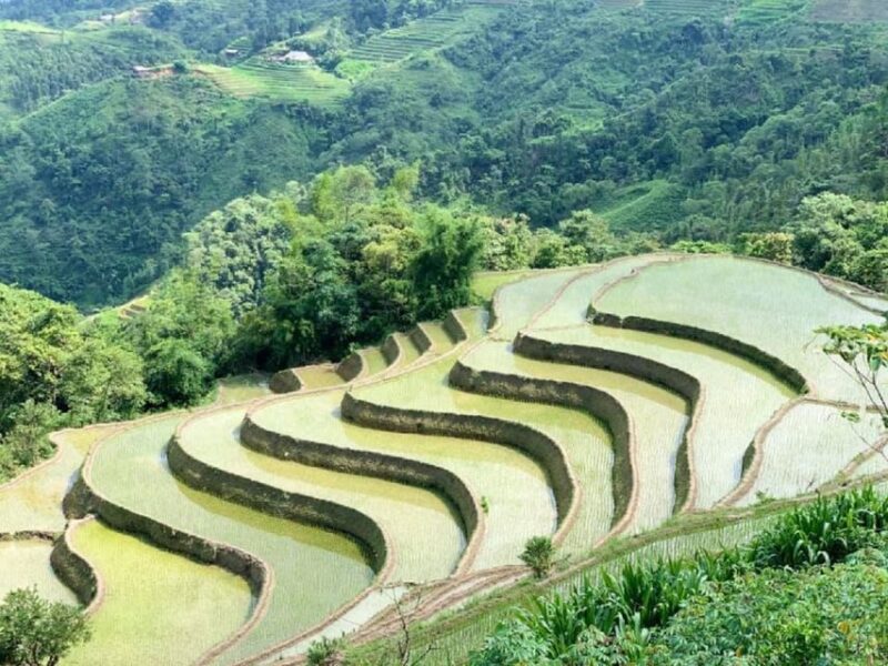 From Hanoi: Ha Giang Guided 3-Day Trip - Itinerary Day 3