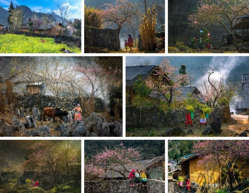 From Hanoi: Ha Giang Loop 3 Days 3 Nights With Easy Rider - Key Points