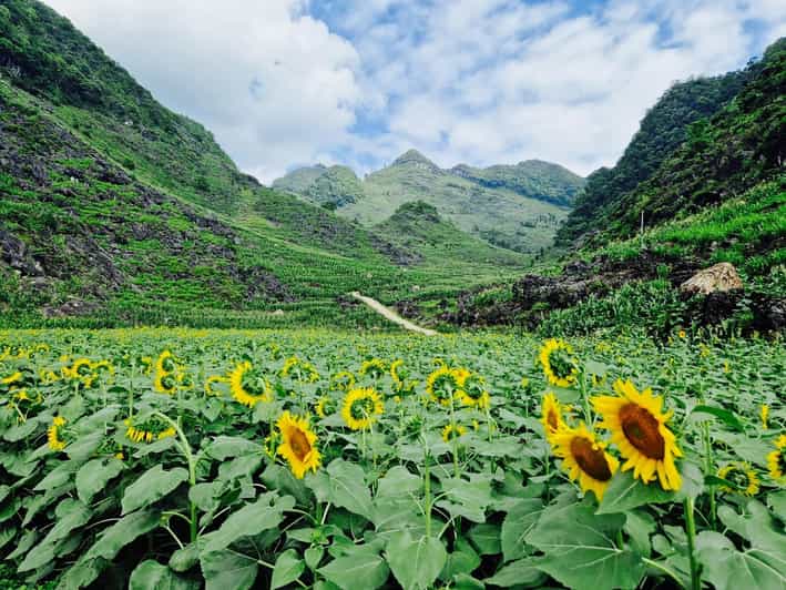 From Hanoi : Ha Giang Loop 3D2N Hong Hao - Accommodation and Meals