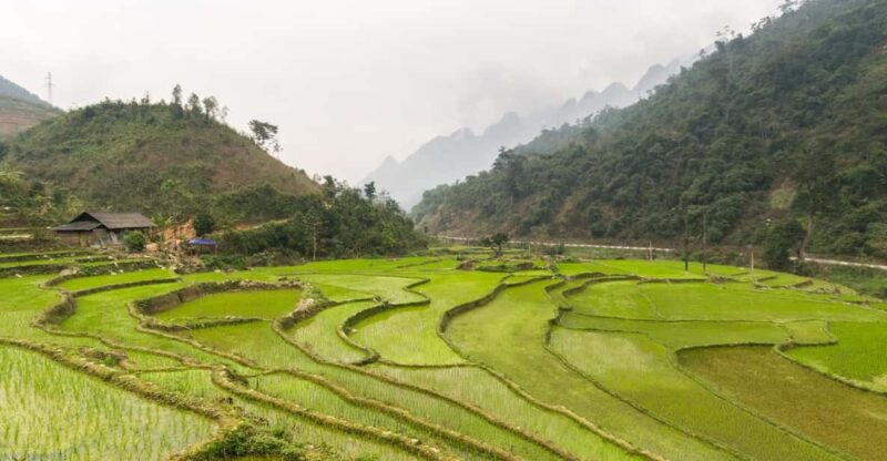 From Hanoi: Ha Giang Motorbike Tour 3 Days With Local Rider - Tour Details and Itinerary