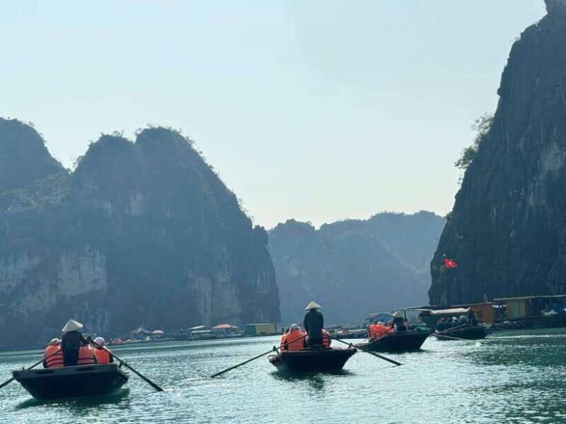 From Hanoi: Ha Long Bay 1-Day Cruise Trip W Titop& Kayaking - Customer Feedback and Ratings